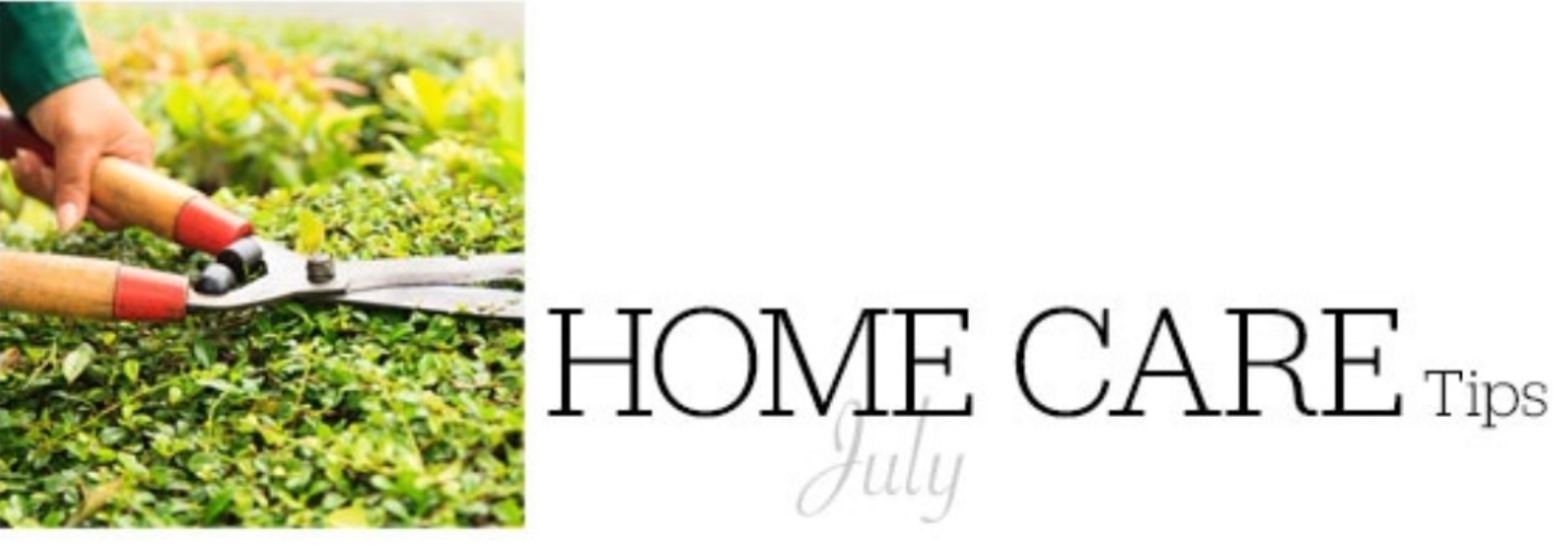 24 Home Care Tips For July To Keep Your Home In Tip-Top Shape