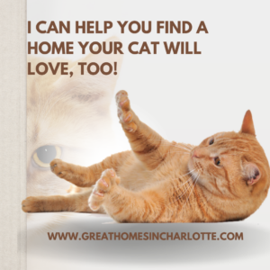 Nina Hollander, Coldwell Banker in Charlotte, can help you find a home your cat will love, too.