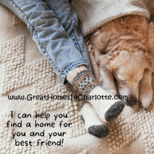 Pet friendly real estate for you and your best friend