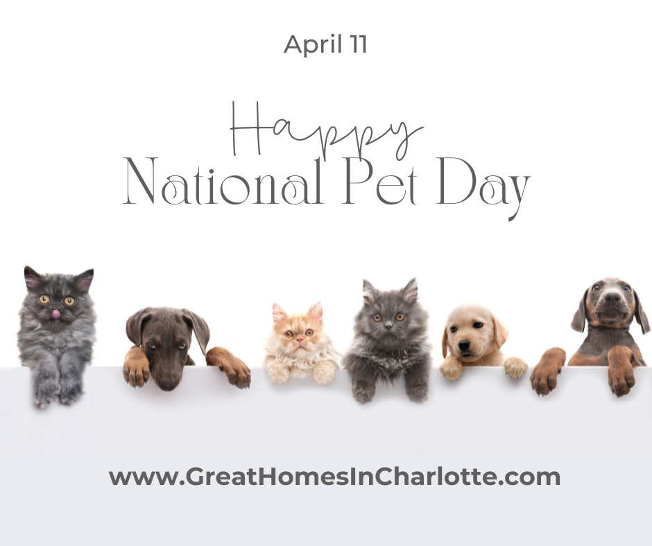 National Pet Day 7 Purrfect Ways To Celebrate Nina Hollander