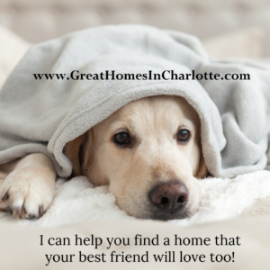 Pet friendly Realtor, Nina Hollander, can help you find a home your best friend will love