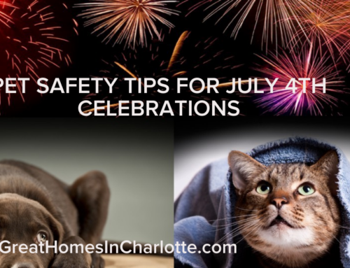 Keep Your Pets Safe On July 4th