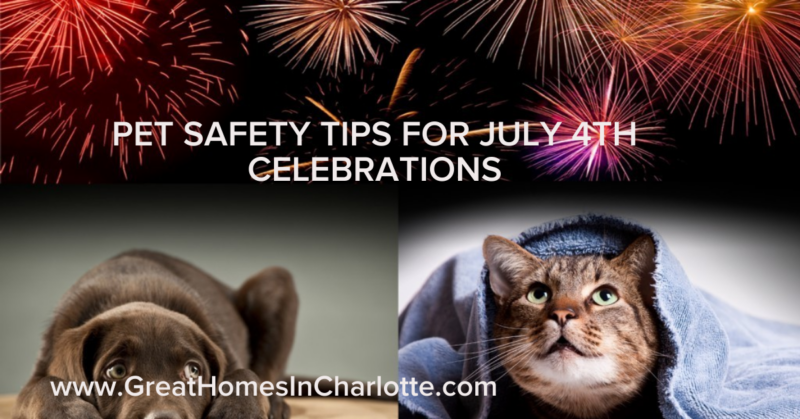 Pet safety tips for Independence Day