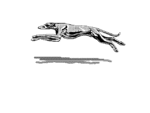 Greyhound