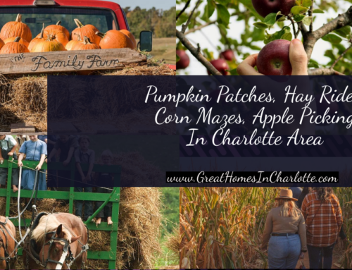 Charlotte Pumpkin Patches, Apple Picking, Corn Mazes, Hay Rides