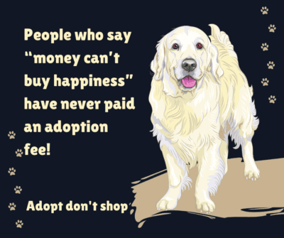 Adopt don't shop during National Adopt a Shelter Dog Month 