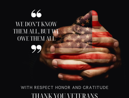 Salute to Service On Veterans Day