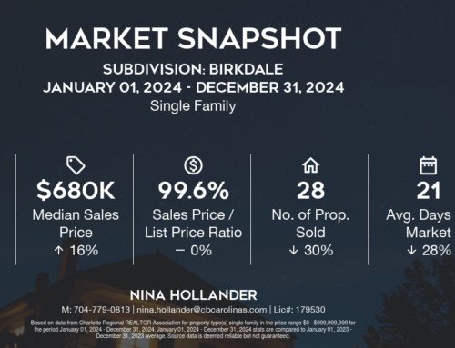 Birkdale Home Sales: 2024 Recap